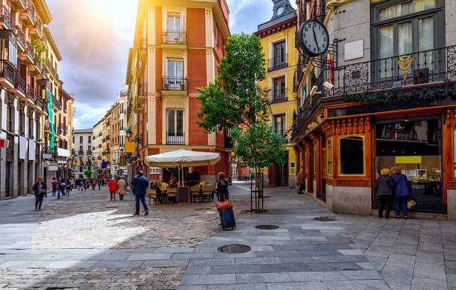 La importancia de la limpieza en los barrios de Madrid para prevenir las plagas en verano