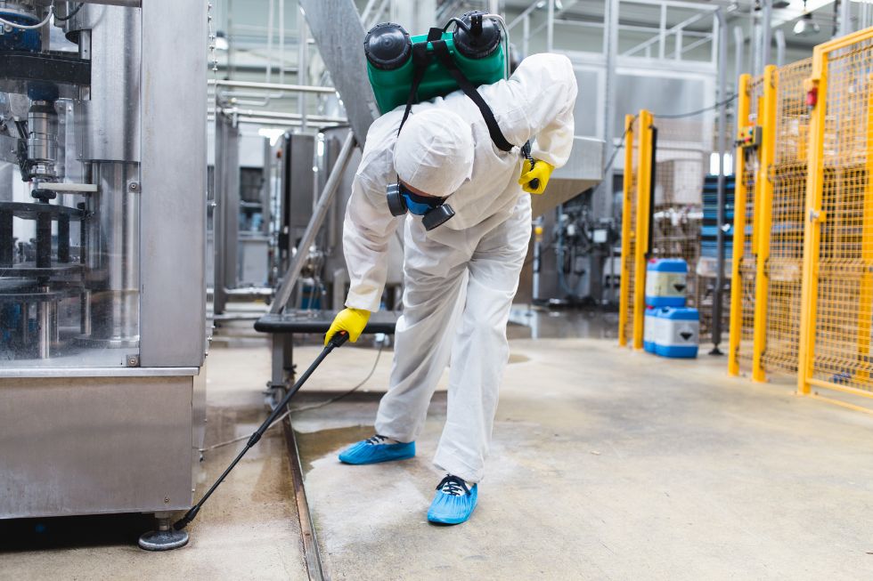 Plagas Ibérica: expertos en desinfección Integral para empresas y particulares