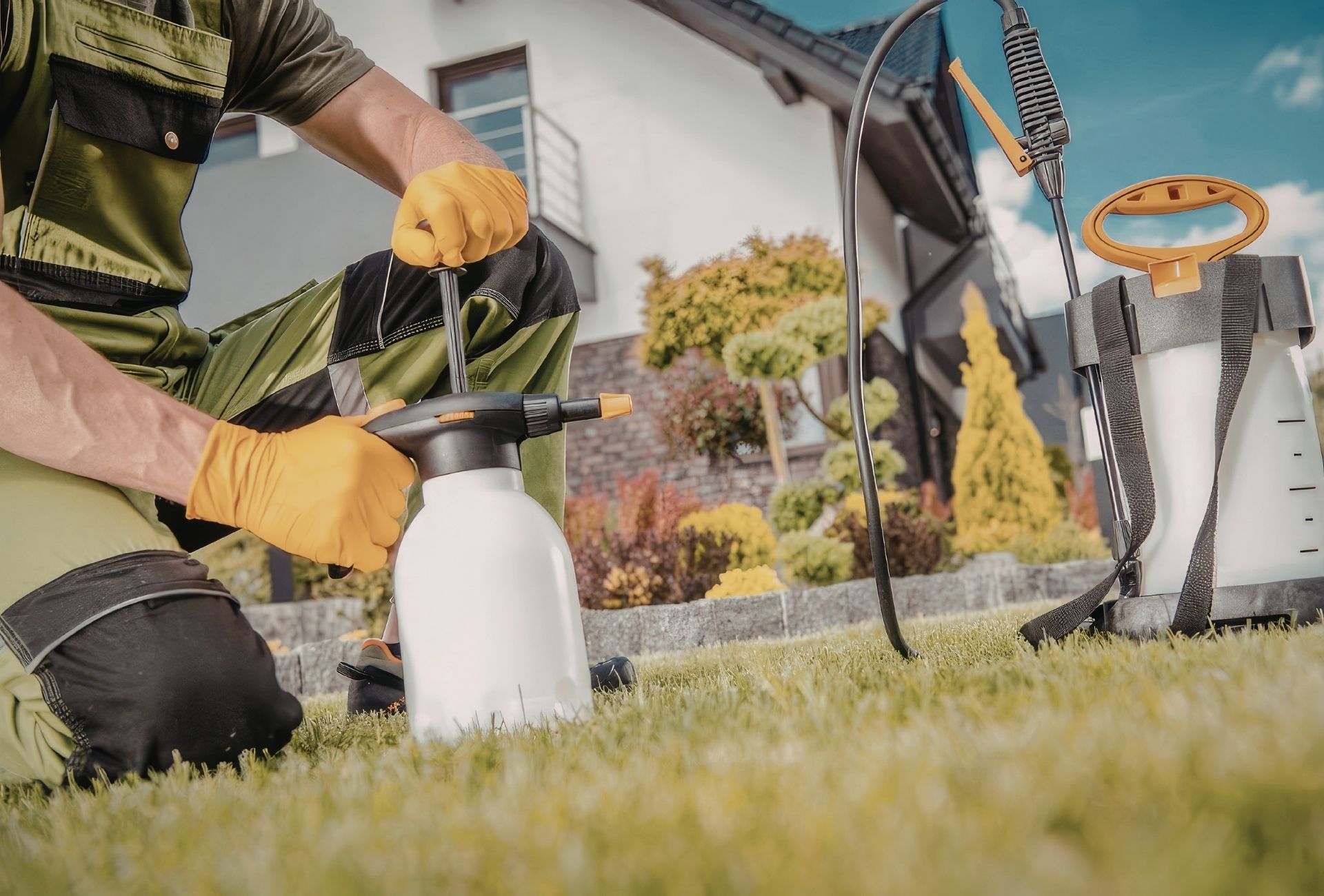 Chalets y urbanizaciones en Boadilla: el reto oculto de las plagas en viviendas con jardín